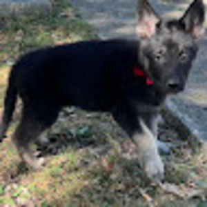 Meet your Posher, Christine